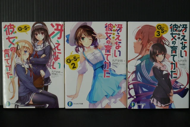 ROMAN JAPONAIS LOT : Saekano : Comment élever une petite amie ennuyeuse